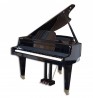 Piano Modelo Physis G1000