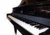 Piano Modelo Physis G1000