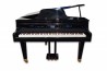 Piano Modelo Physis G1000